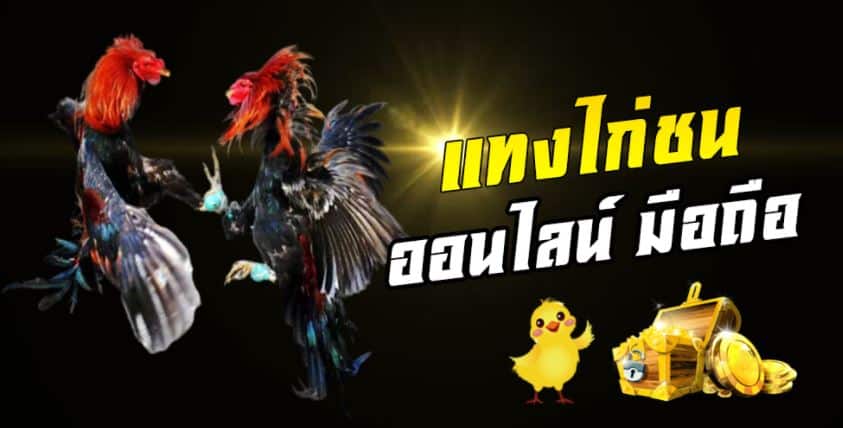 แทงไก่ออนไลน์