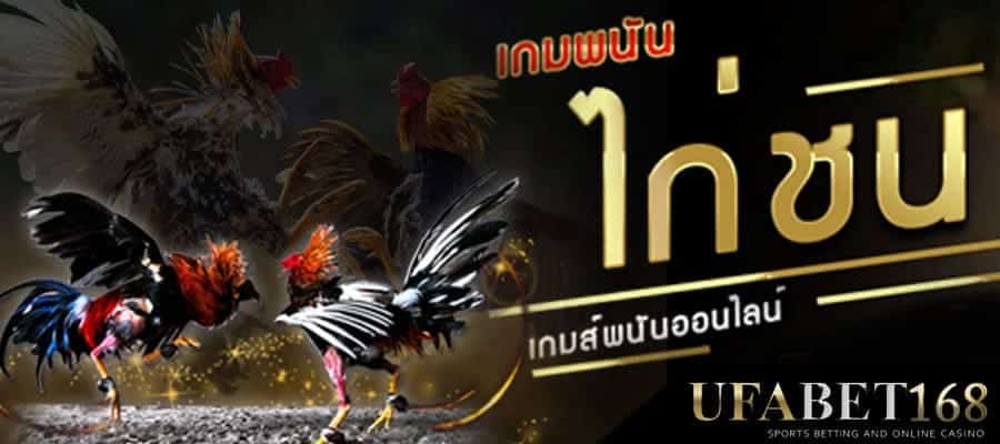 ดูไก่ชนออนไลน์ฟรี