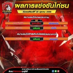 สรุปผลไก่ชน