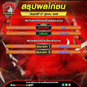 ผลไก่ชน