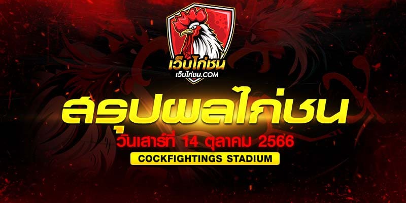สรุปผลการแข่งขัน ไก่ชน