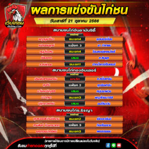 สรุปผลไก่ชน 