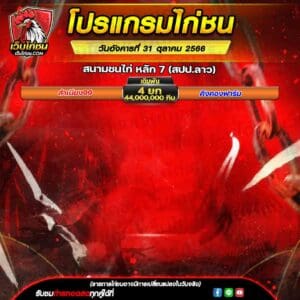 โปรเเกรมไก่ชน