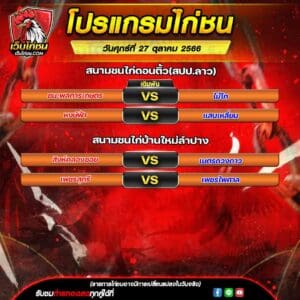 โปรเเกรมไก่ชน