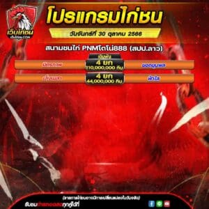 โปรแกรมไก่ชน