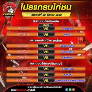 โปรเเกรมไก่ชน