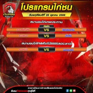 โปรเเกรมไก่ชน