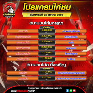 โปรแกรมไก่ชน