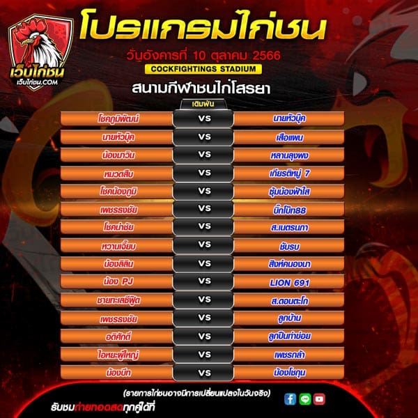 โปรแกรมไก่ชน