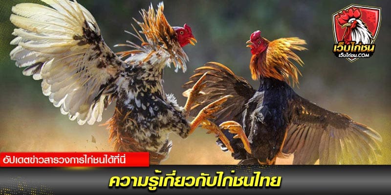 ประเทศไทย