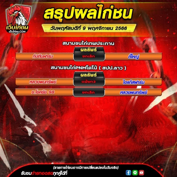 ผลไก่ชน