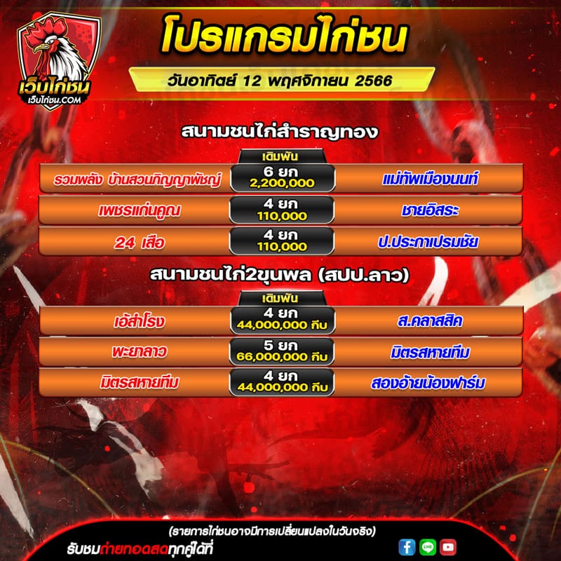โปรแกรมไก่ชน