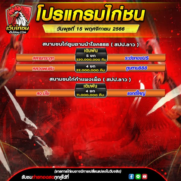 โปรแกรมไก่ชน