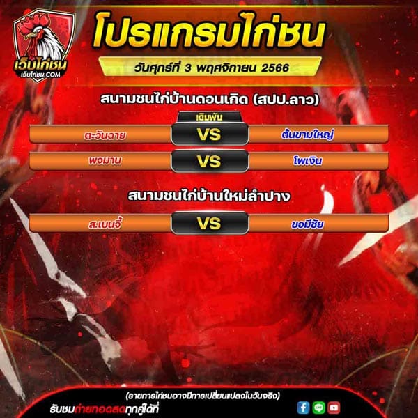 โปรแกรมไก่ชน