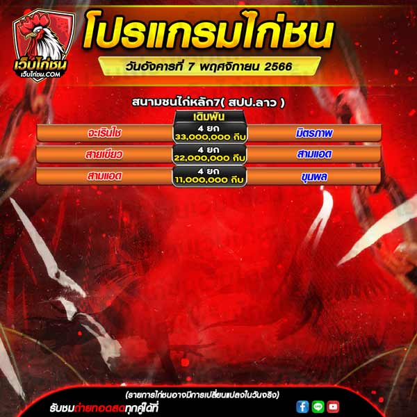 โปรแกรมไก่ชน