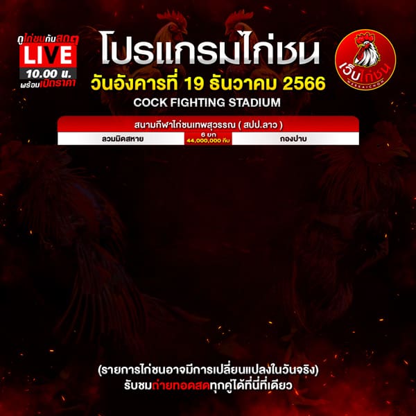 ไฮไลท์ ไก่ชน
