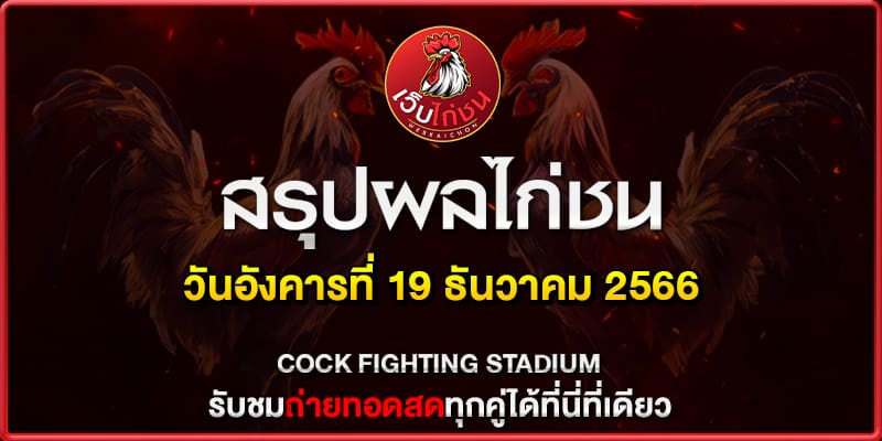ไก่ชนครับ