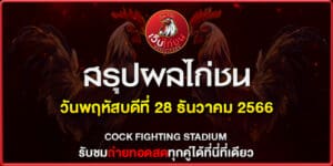 เบิ่ง ไก่ชน