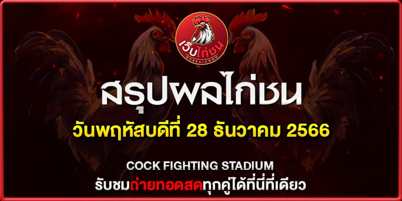 เบิ่ง ไก่ชน