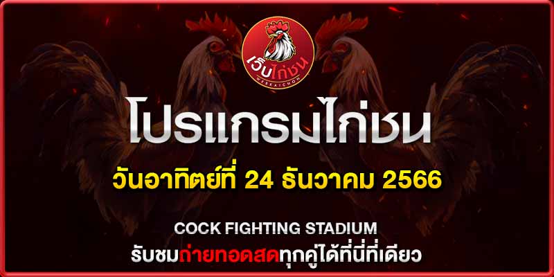 ถ่ายทอดสด ไก่ชน