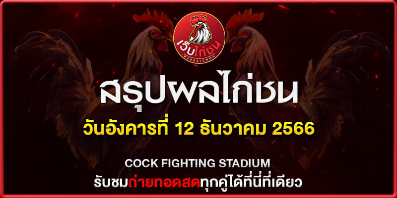 ไฮไลท์ไก่ชนใหม่ล่าสุด