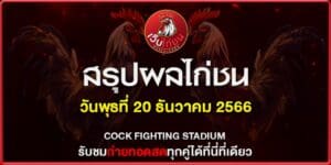 ไก่ชน4เดือน
