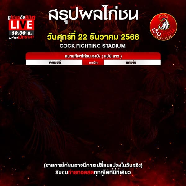 ไก่ชนวันนี้
