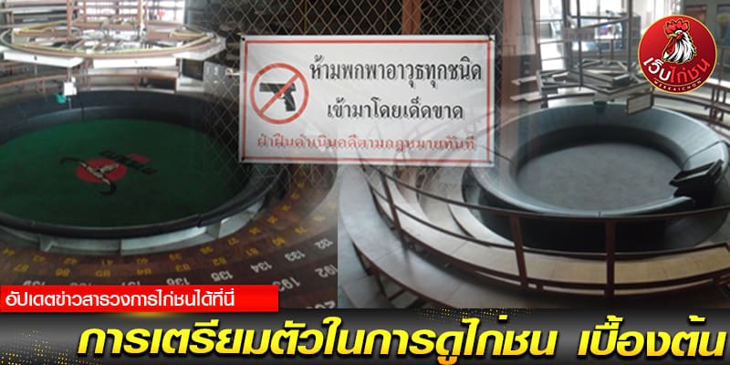เว็บข่าว ไก่ชน