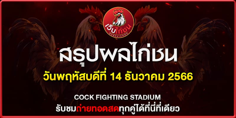 ดูไก่ชนย้อนหลัง