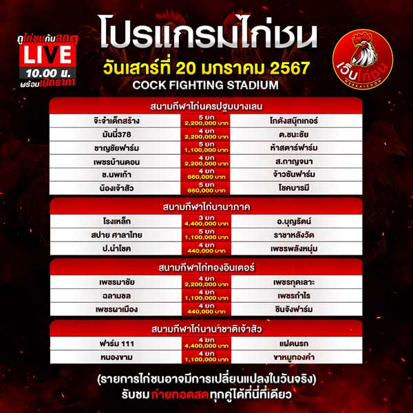 ไก่ชนเงิน ล้าน 20167