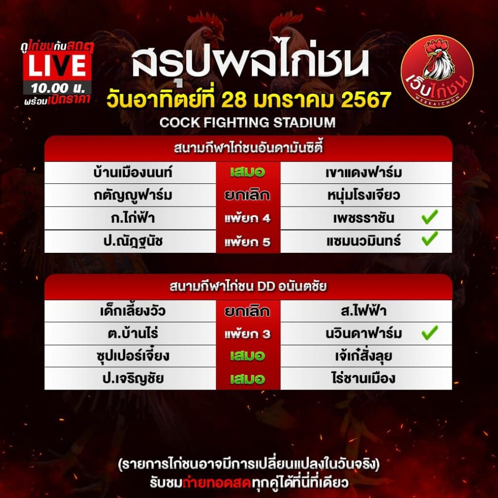 ดูไก่ชน ตีกัน280167