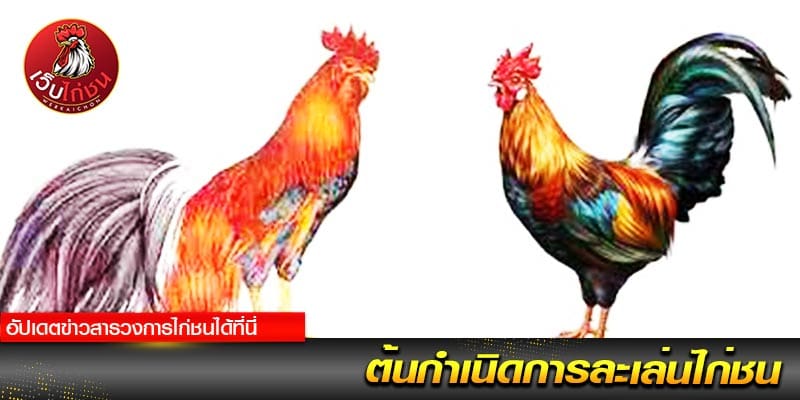 ต้นกำเนิดไก่ชน