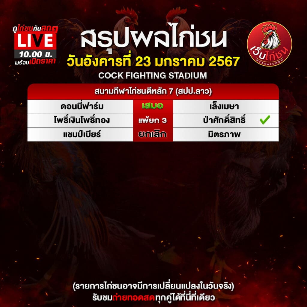 ไก่ชนใต้เดือยเหล็ก 240167