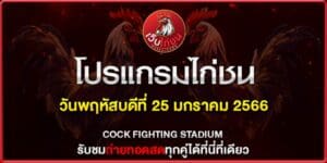 สรุปผลไก่ชนล่าสุด250167