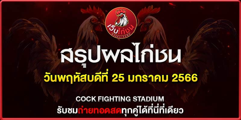 ไก่ชนใต้ ไก่เดือย 250167