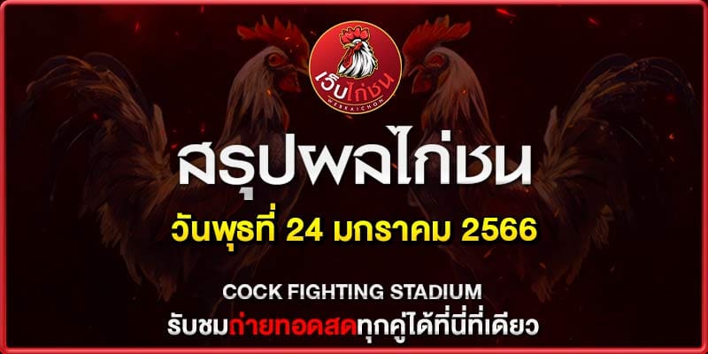 ผลไก่ชน ออนไลน์ 240167