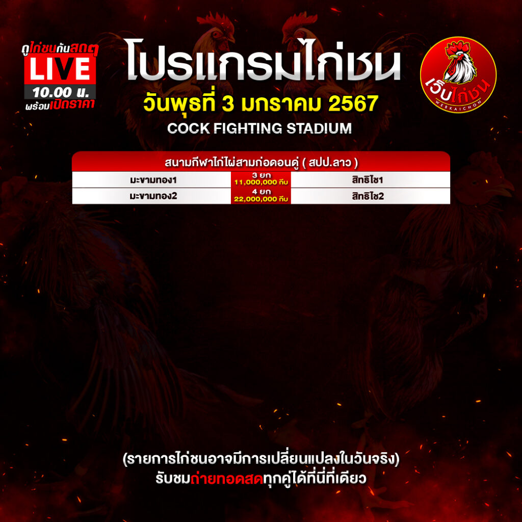 โปรแกรมไก่ชน