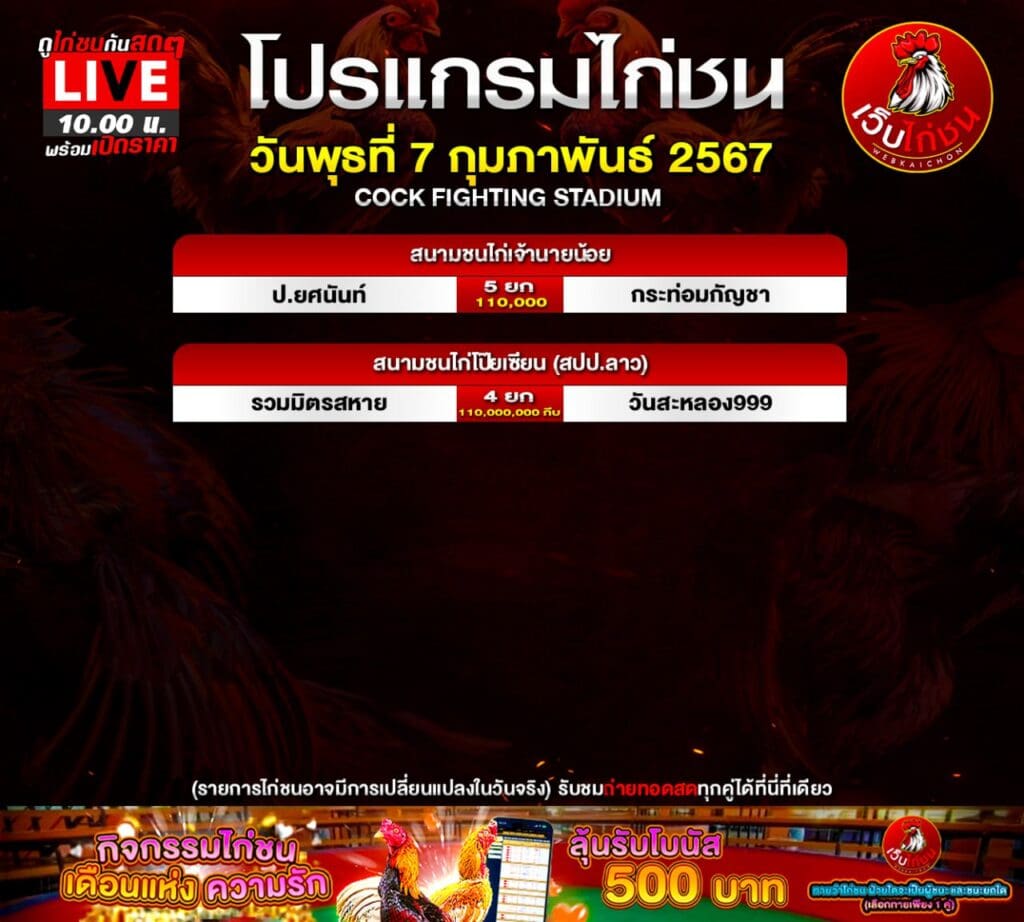 โปรแกรมไก่ชน