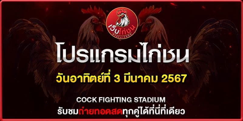 ไก่ชนเงินล้าน วันนี้030367