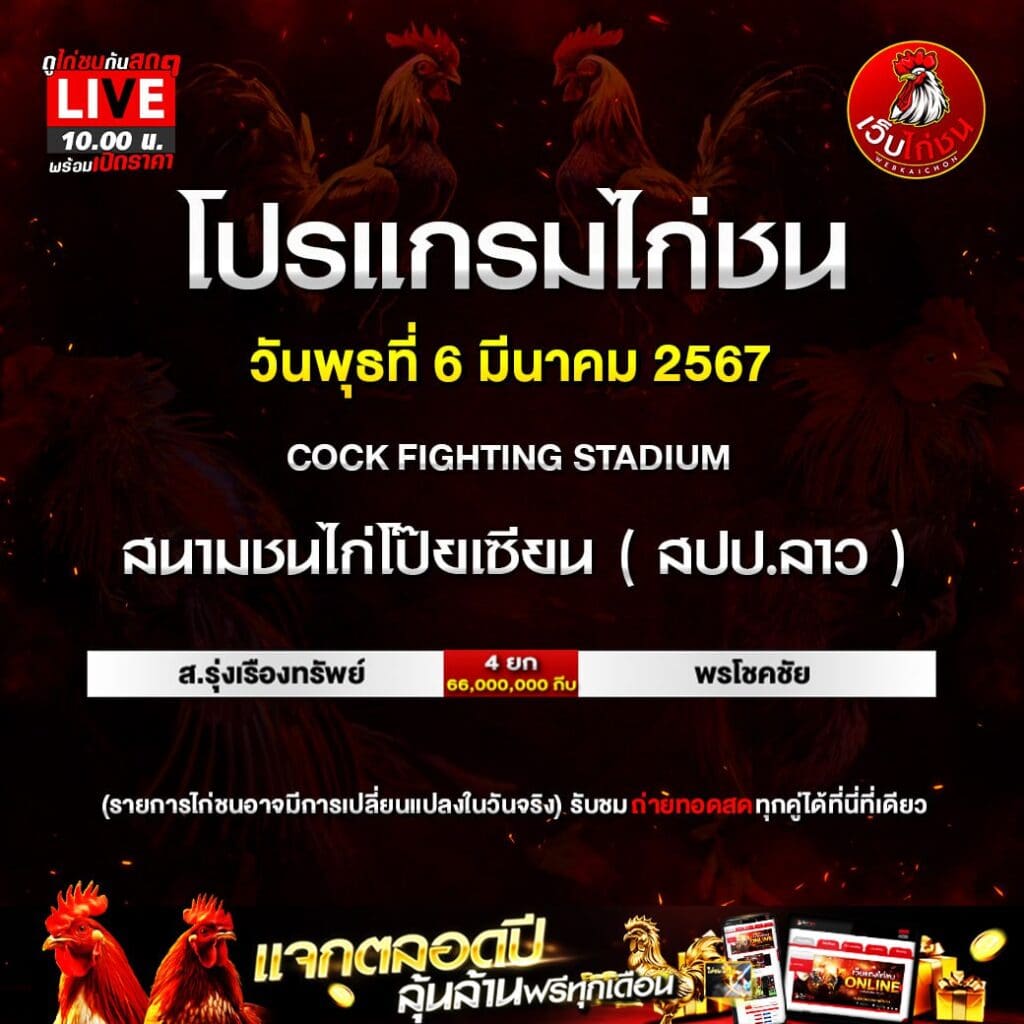 สดไก่ชน060367