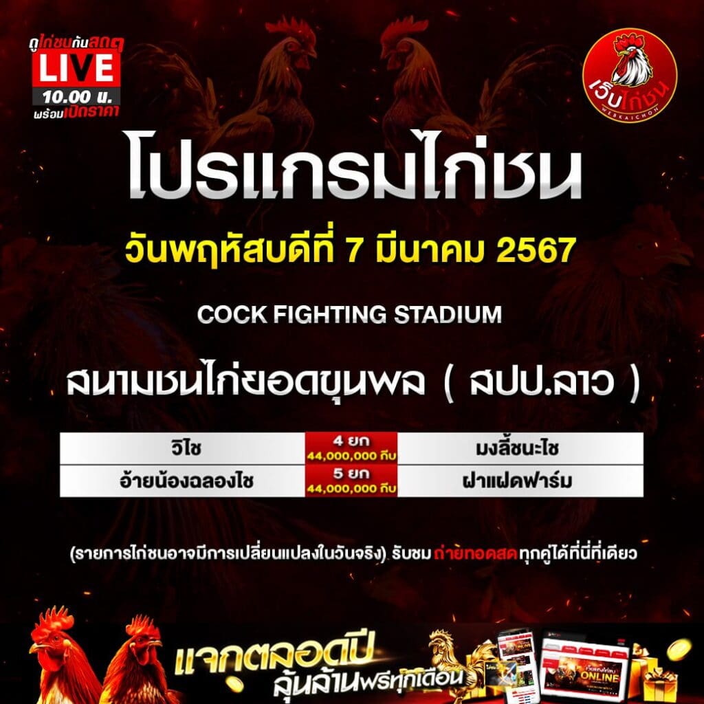 ไก่ชนสุมหัว070367