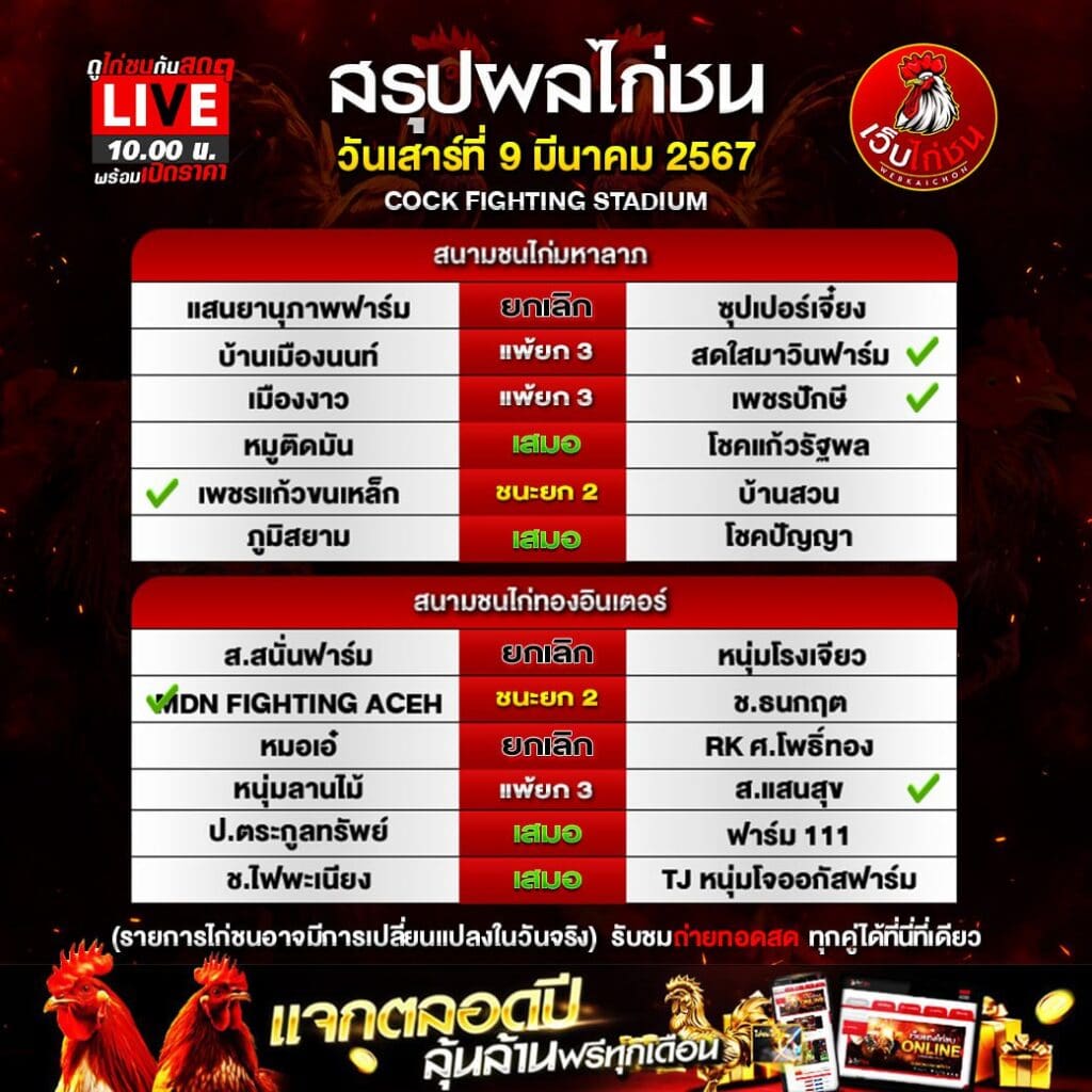 เล่นไก่ชนใต้100367