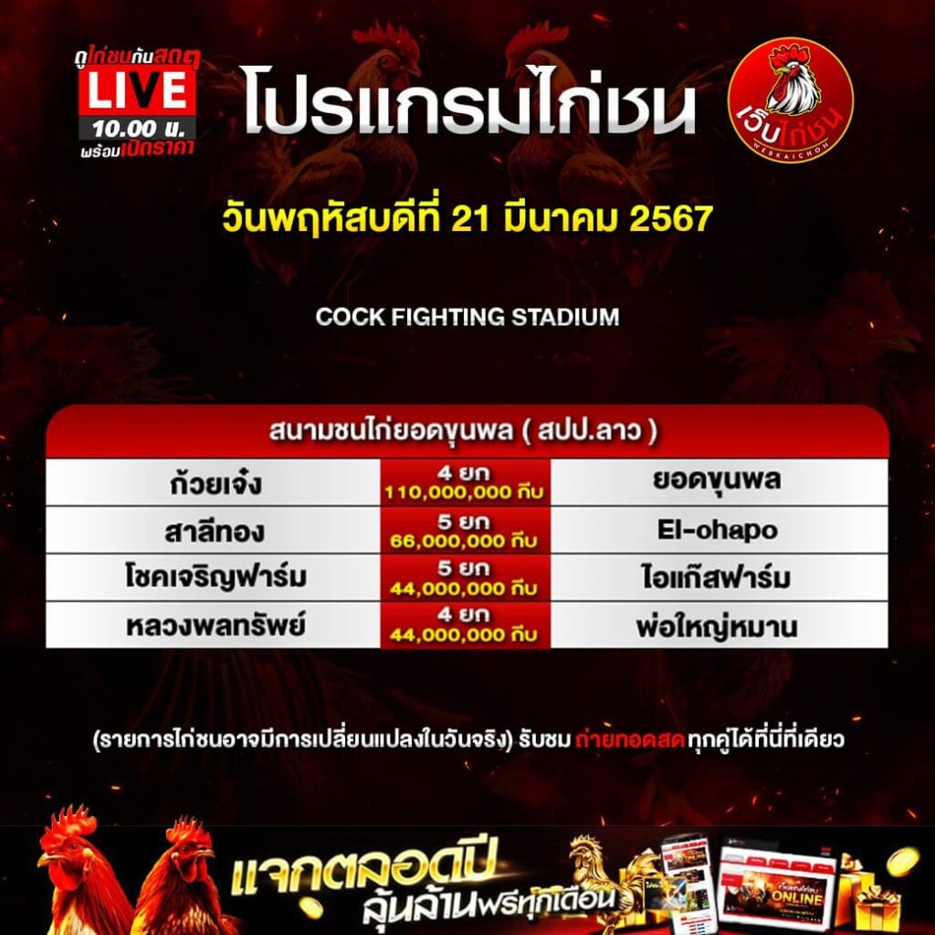 เว็บตีไก่210367