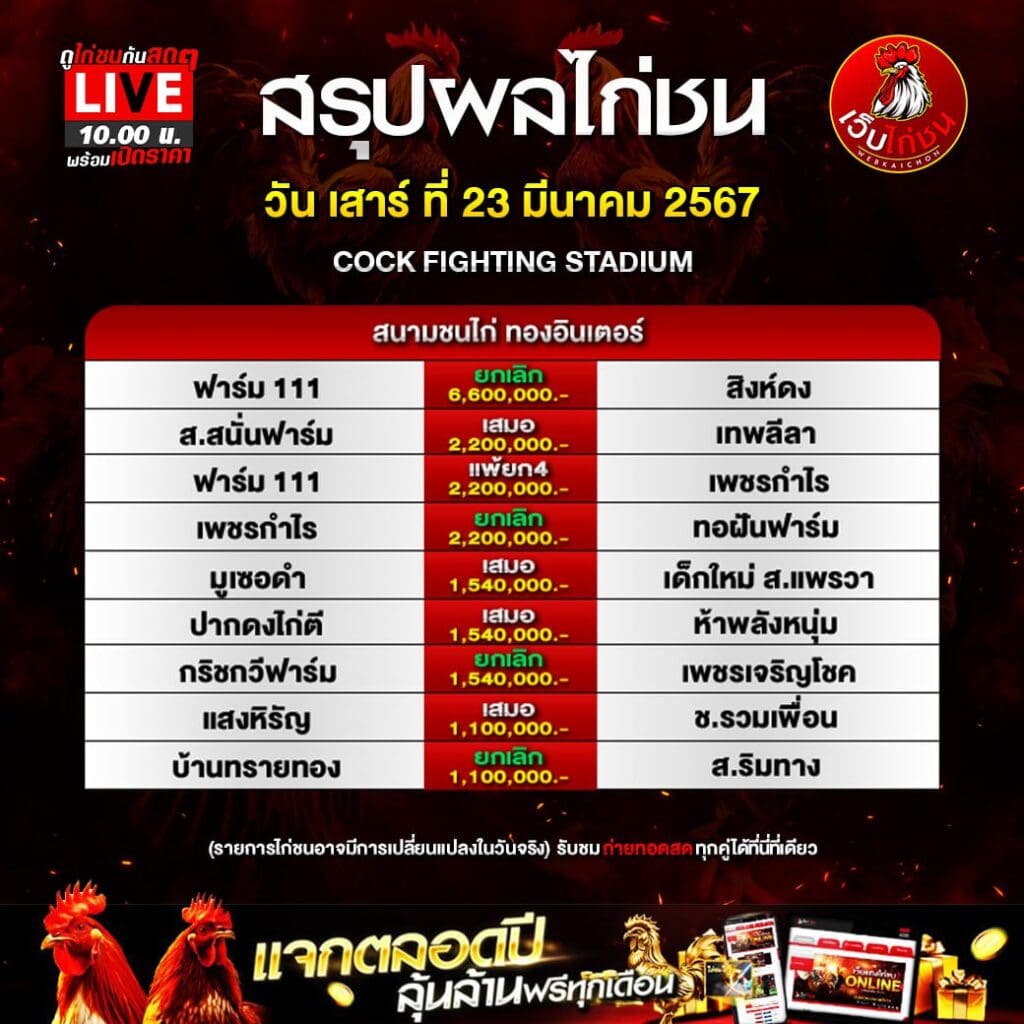 ไลฟ์สดไก่ชน ล่าสุด230367