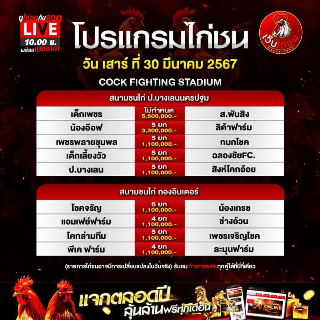 สนามชนไก่บางเลนนครปฐม300367