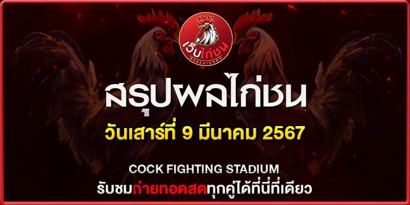 เล่นไก่ชนใต้100367