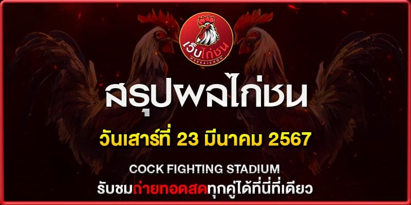 ไลฟ์สดไก่ชน ล่าสุด230367