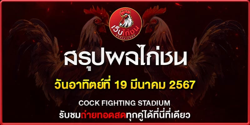 ไก่ชน ซุ้มดังๆ190367