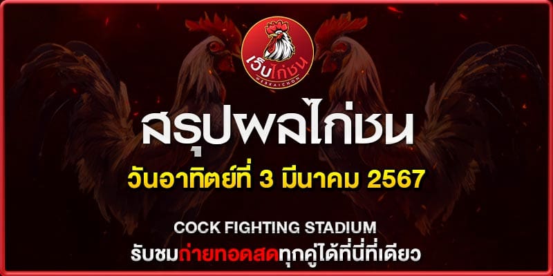 ไก่ชน เงินล้าน ล่าสุด040367