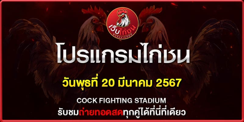 ไก่ชน มันส์200367